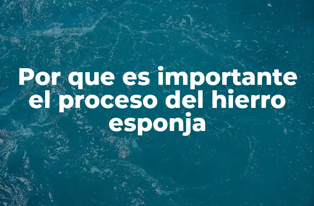 Por que es Importante el Proceso Del Hierro Esponja