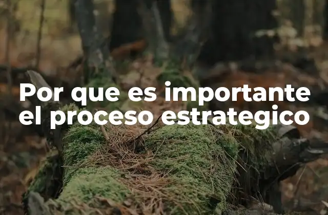 Por que es Importante el Proceso Estrategico