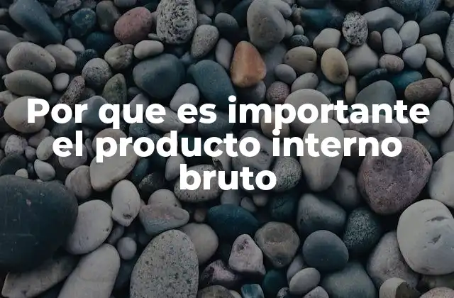 Por que es Importante el Producto Interno Bruto