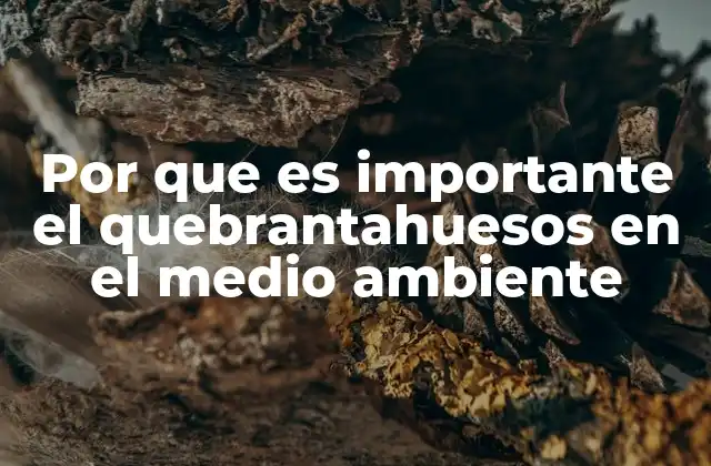 Por que es Importante el Quebrantahuesos en el Medio Ambiente