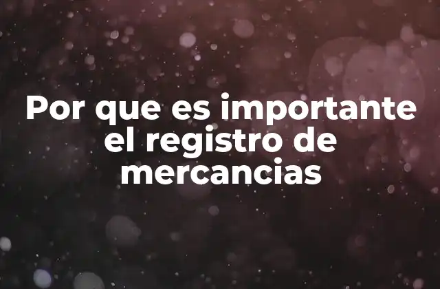 Por que es Importante el Registro de Mercancias
