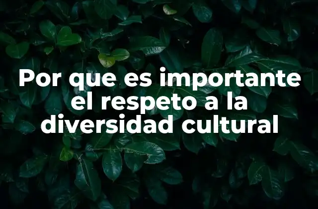 Por que es Importante el Respeto a la Diversidad Cultural