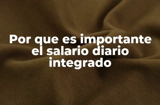 Por que es Importante el Salario Diario Integrado
