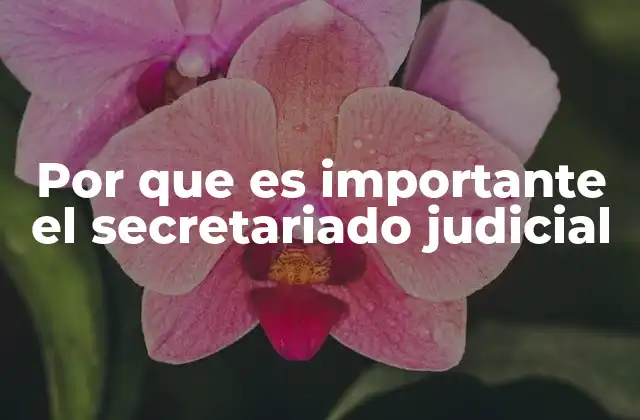 Por que es Importante el Secretariado Judicial