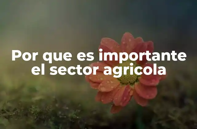 Por que es Importante el Sector Agricola