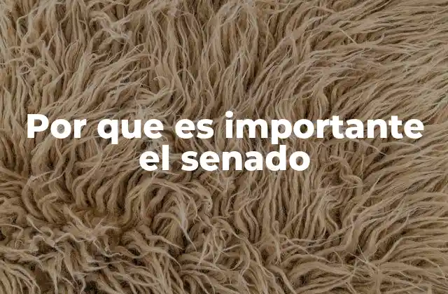 Por que es Importante el Senado