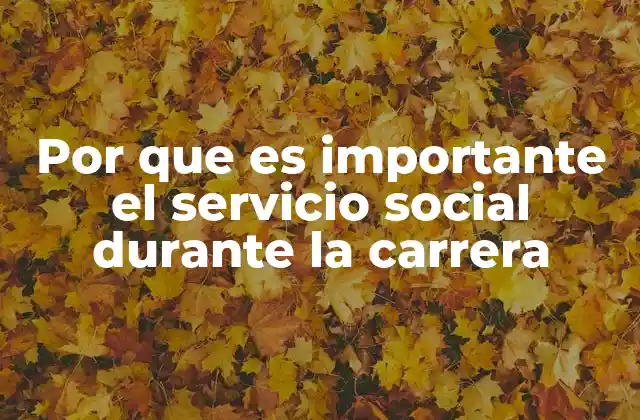 Por que es Importante el Servicio Social durante la Carrera