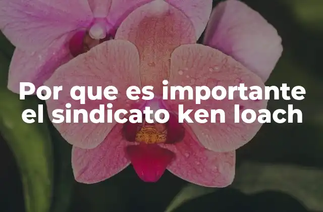 Por que es Importante el Sindicato Ken Loach