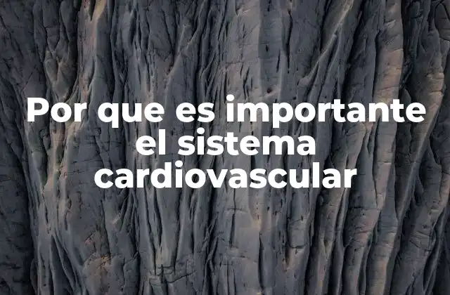 Por que es Importante el Sistema Cardiovascular