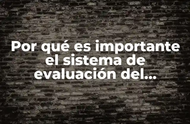Por Qué es Importante el Sistema de Evaluación Del Desempeño