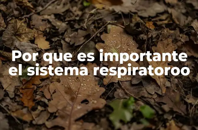 Por que es Importante el Sistema Respiratoroo