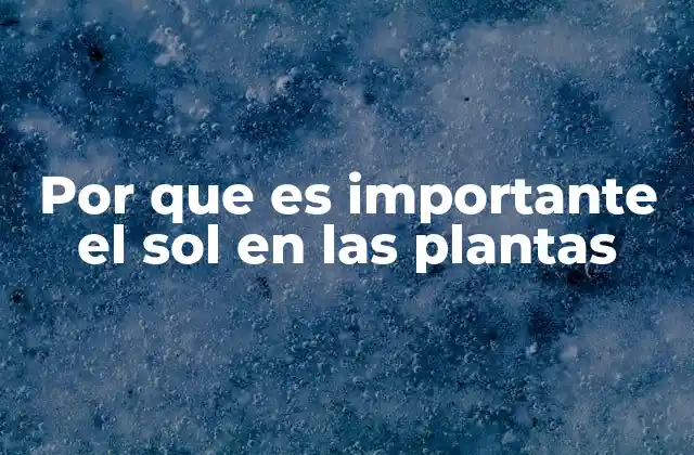 Por que es Importante el Sol en las Plantas