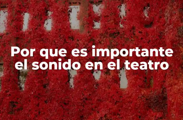 Por que es Importante el Sonido en el Teatro
