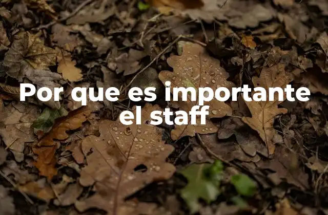 Por que es Importante el Staff
