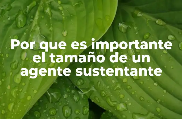 Por que es Importante el Tamaño de un Agente Sustentante