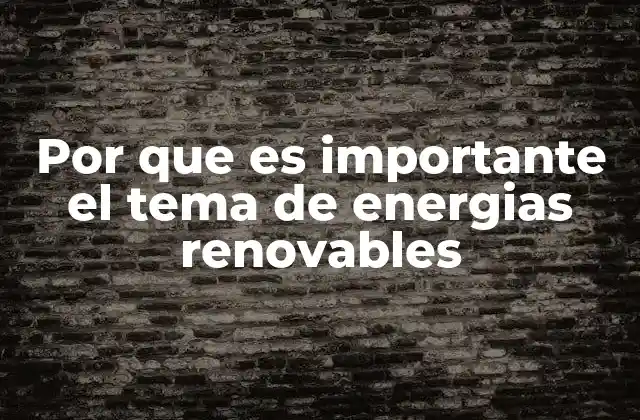 Por que es Importante el Tema de Energias Renovables