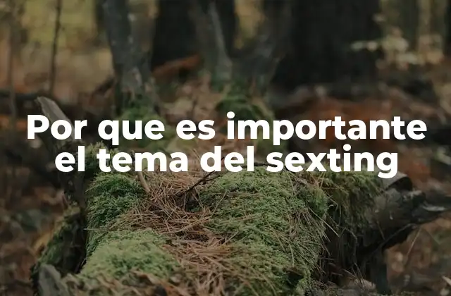 Por que es Importante el Tema Del Sexting