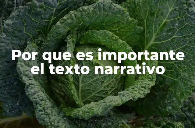 Por que es Importante el Texto Narrativo