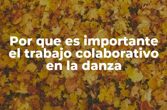 Por que es Importante el Trabajo Colaborativo en la Danza