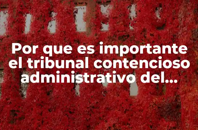 Por que es Importante el Tribunal Contencioso Administrativo Del Estado