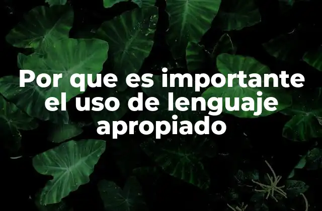 Por que es Importante el Uso de Lenguaje Apropiado