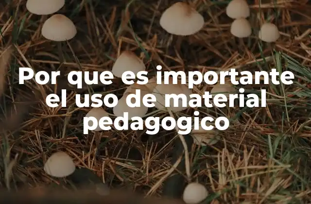 Por que es Importante el Uso de Material Pedagogico