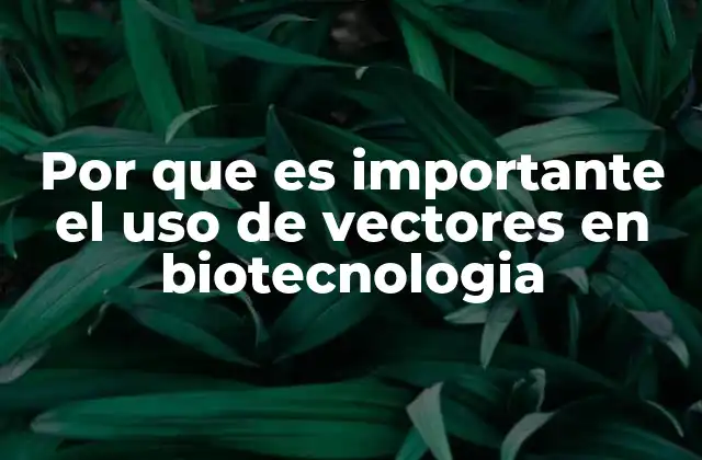 Por que es Importante el Uso de Vectores en Biotecnologia