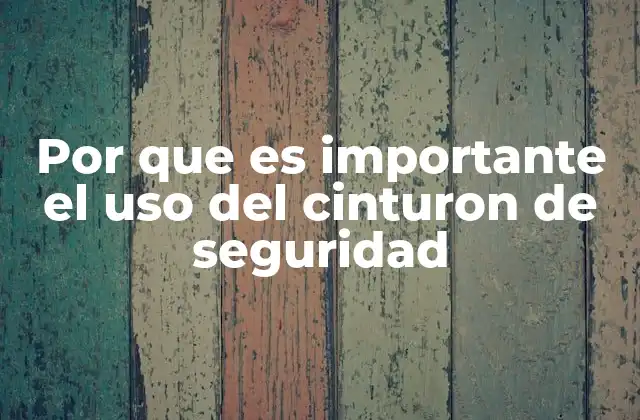 Por que es Importante el Uso Del Cinturon de Seguridad 2 La importancia de la prevención en la seguridad vial