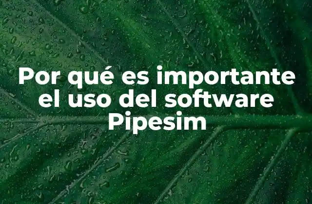Por Qué es Importante el Uso Del Software Pipesim