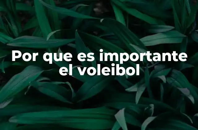 Por que es Importante el Voleibol