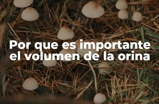 Por que es Importante el Volumen de la Orina