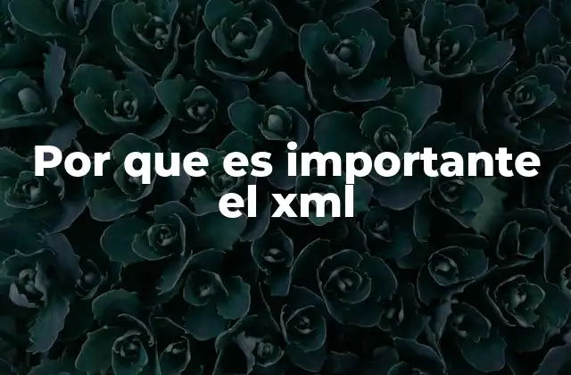 Cómo el XML mejora la interoperabilidad entre sistemas