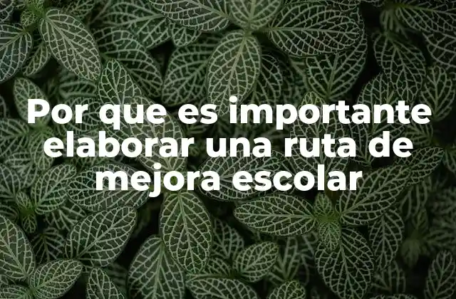 Por que es Importante Elaborar una Ruta de Mejora Escolar