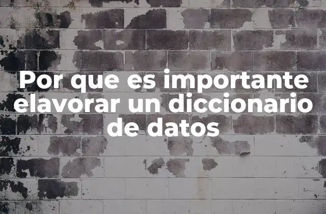 Por que es Importante Elavorar un Diccionario de Datos