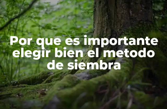 Por que es Importante Elegir Bien el Metodo de Siembra