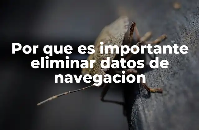 Por que es Importante Eliminar Datos de Navegacion