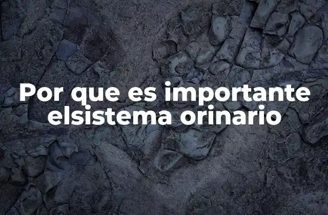 Por que es Importante Elsistema Orinario