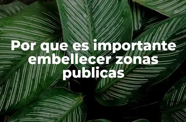 Por que es Importante Embellecer Zonas Publicas