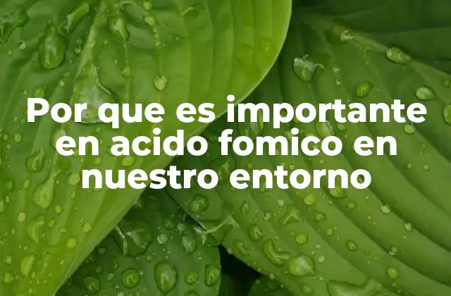 Por que es Importante en Acido Fomico en Nuestro Entorno