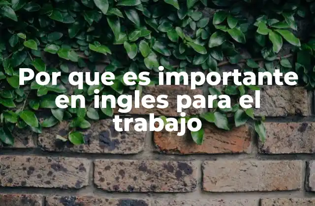 Por que es Importante en Ingles para el Trabajo