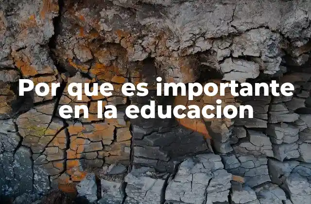 Por que es Importante en la Educacion
