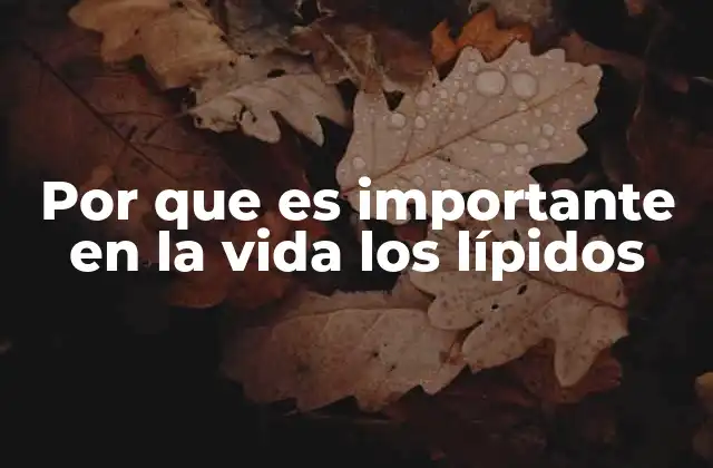 Por que es Importante en la Vida los Lípidos