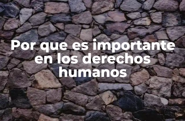 Por que es Importante en los Derechos Humanos