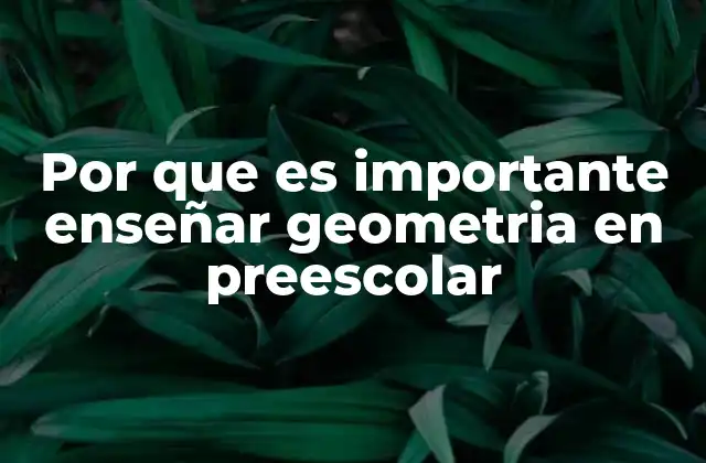Por que es Importante Enseñar Geometria en Preescolar