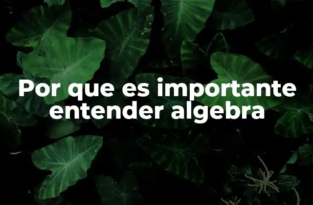 Por que es Importante Entender Algebra