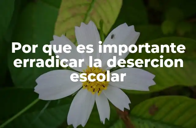 Por que es Importante Erradicar la Desercion Escolar