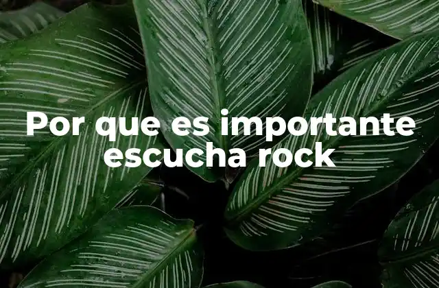 Por que es Importante Escucha Rock
