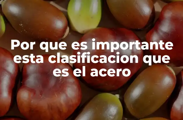 Por que es Importante Esta Clasificacion que es el Acero