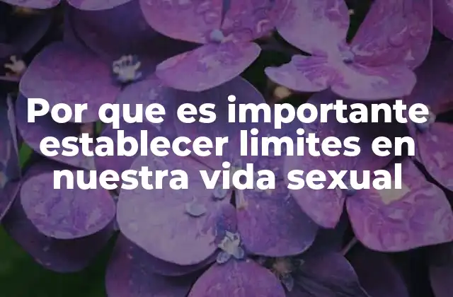 Por que es Importante Establecer Limites en Nuestra Vida Sexual