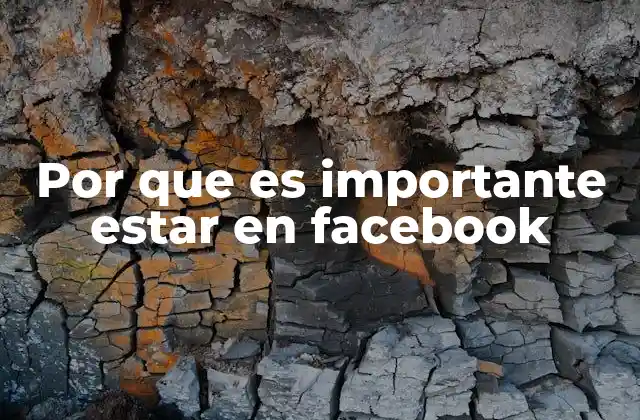 Por que es Importante Estar en Facebook